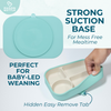 First Bites™ Silicone Plate
